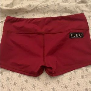 Maroon Fleo